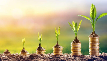 5 horizontal stacks of coins with seedlings on top sitting on soil, each stack becoming larger, and each seedling further in growth