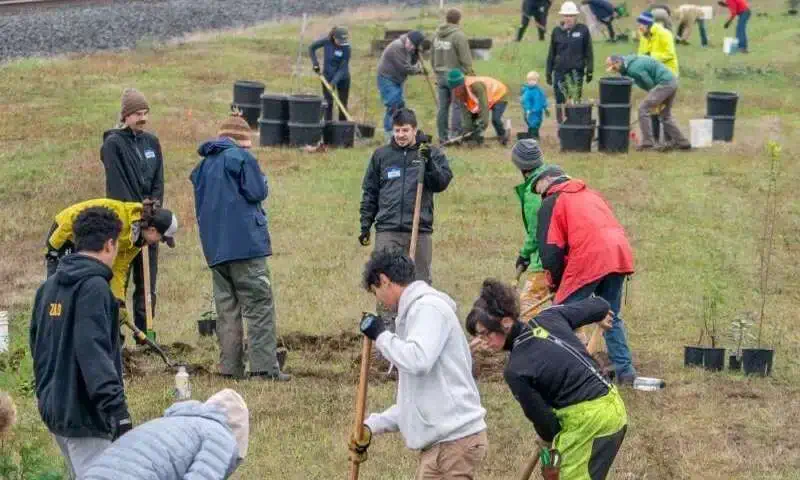 Groups of people with yellow vests in a park picking up trash and planting trees