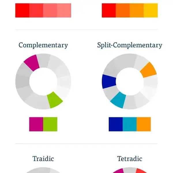 a diagram of the different types of color schemes that can be used for your website and brand